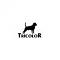 Tricolor's Avatar